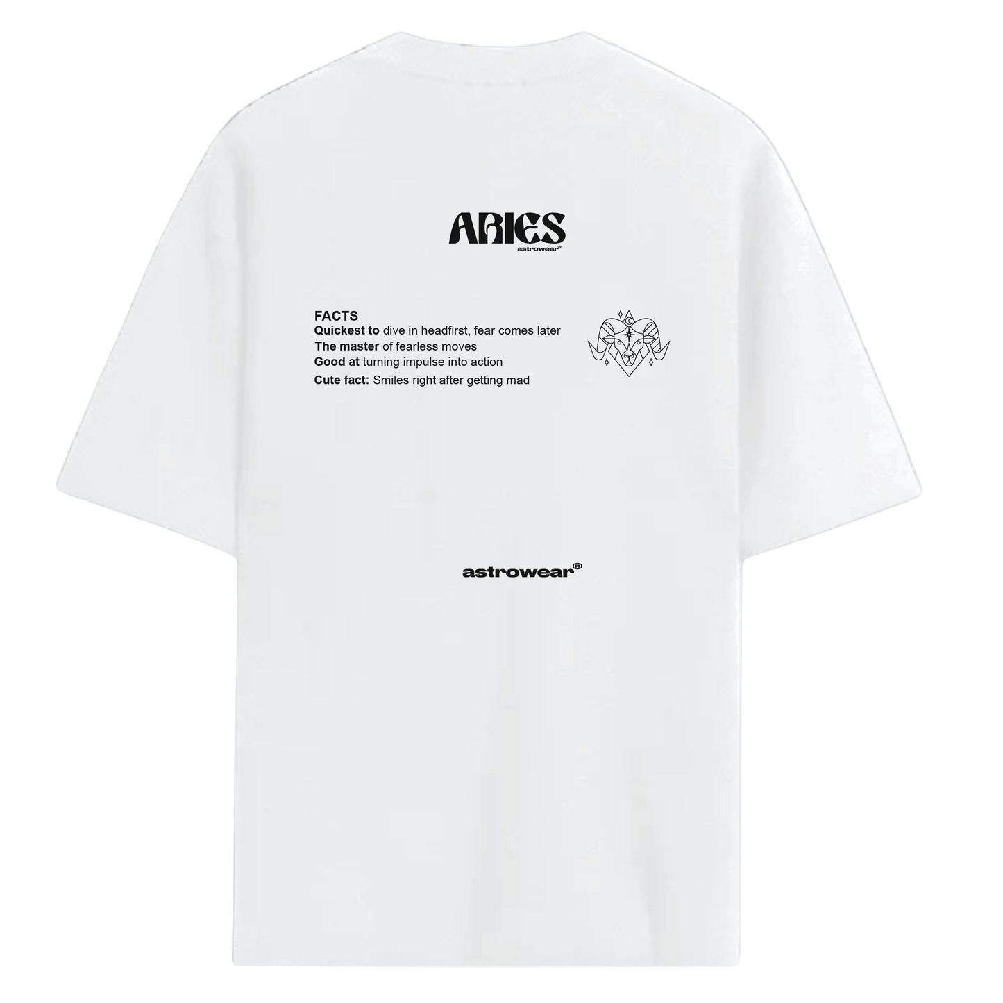 Aries White T-shirt